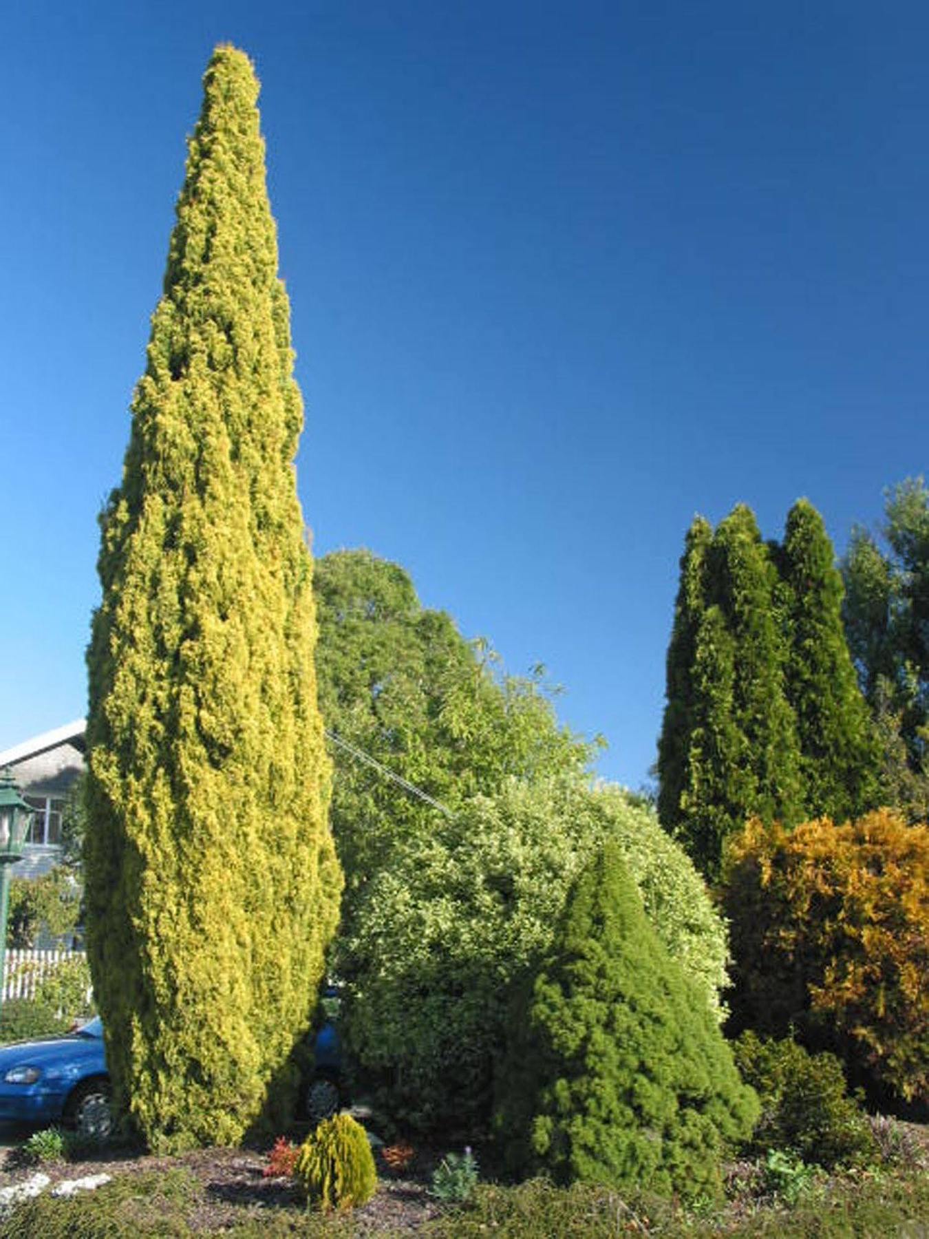 Aalton Motel Christchurch Exteriör bild
